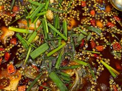 -乡土特色.冷锅鱼.牦牛肉汤锅