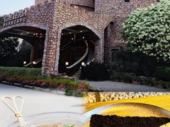 -J Create城市露营咖啡·简餐·宠物(上海动物园店)