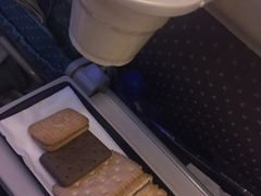 -新加坡航空公司(ION)