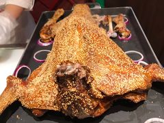 -九十九顶毡房(阜石路店)