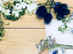 -荷兰布尔玛国际花艺学院