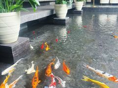 -天津海河悦榕庄·Lobby Lounge大堂吧