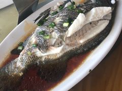 清蒸海鱼-七鲜渔港美食餐厅(巽寮湾海景店)