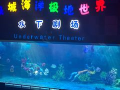 -泉城欧乐堡海洋极地世界