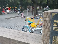 -唐城墙遗址公园