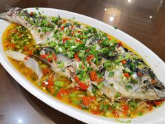 -飞虹鱼馆(春华路店)