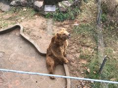 -无锡动物园·太湖欢乐园