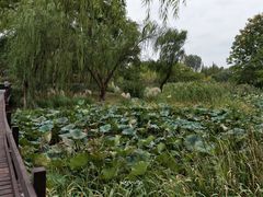 -阳澄湖费尔蒙酒店
