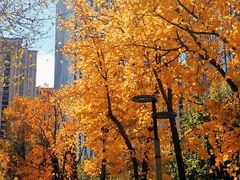 -长春公园(普阳街道)