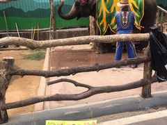 -大连森林动物园