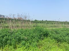 -百翠山居.家飨餐厅