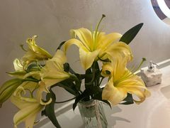 -涨巢·潮玩水疗局