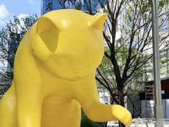 -深圳湾万象城(南山店)