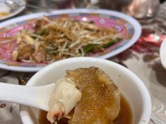 -大中鱼翅 Taitong Shark Fin