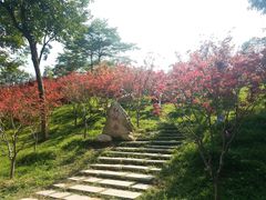 -广州市帽峰山景区