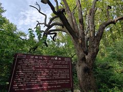 -北京密云天门山风景区