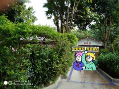 -碧水湾温泉