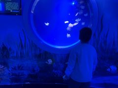 -泉城欧乐堡海洋极地世界