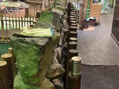 -曾百万小炉小串自助烧烤(高新店)