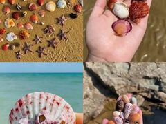 -日照灯塔风景区