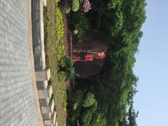 iphone_upload_pic-野狸岛
