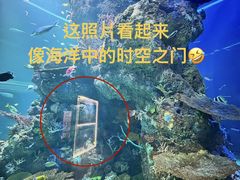 -新加坡水上探险乐园