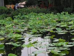 -三圣花乡旅游区