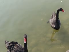 -杭州师范大学(下沙校区)