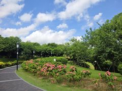 -立新湖公园