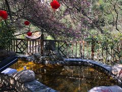 -黄山温泉国际旅游度假区