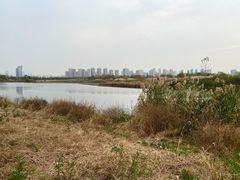 -洋湖国家湿地公园