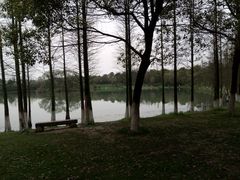 -艾溪湖湿地公园