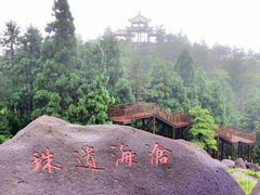 -玉苍山国家森林公园