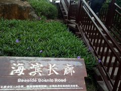 -沙美村