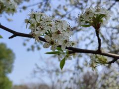 -盘龙城国家考古遗址公园