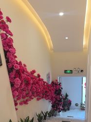 -海涛医疗美容·面部抗衰·注射美鼻