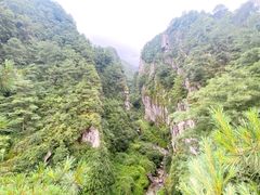 -苍山感通索道