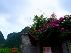 -靖西鹅泉风景区