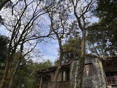 -缙云山景区