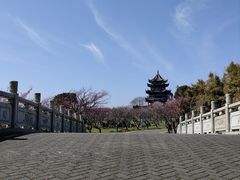 -上海海湾国家森林公园