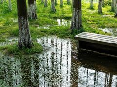 -艾溪湖湿地公园