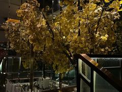 -丽晶大班SPA(大沽店)