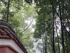-道教老君洞