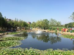 -前关湿地公园