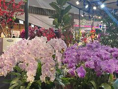 -茶马花街(城西银泰城店)