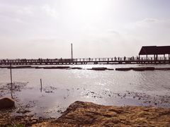 -滆湖低碳生态公园