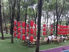 -草根堂农场