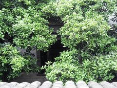 -西塘古镇-倪宅