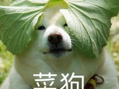 -长藤鬼校(千禧店)