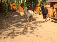 -郑州方特梦幻王国